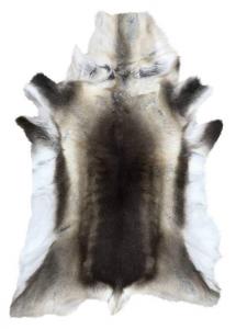 Renskinn
