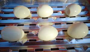 Röka ägg i elrök hemma - ägg inlagda i rökskåp.