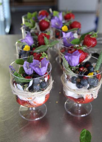 Enkel dessert ute kokosgrädde bär