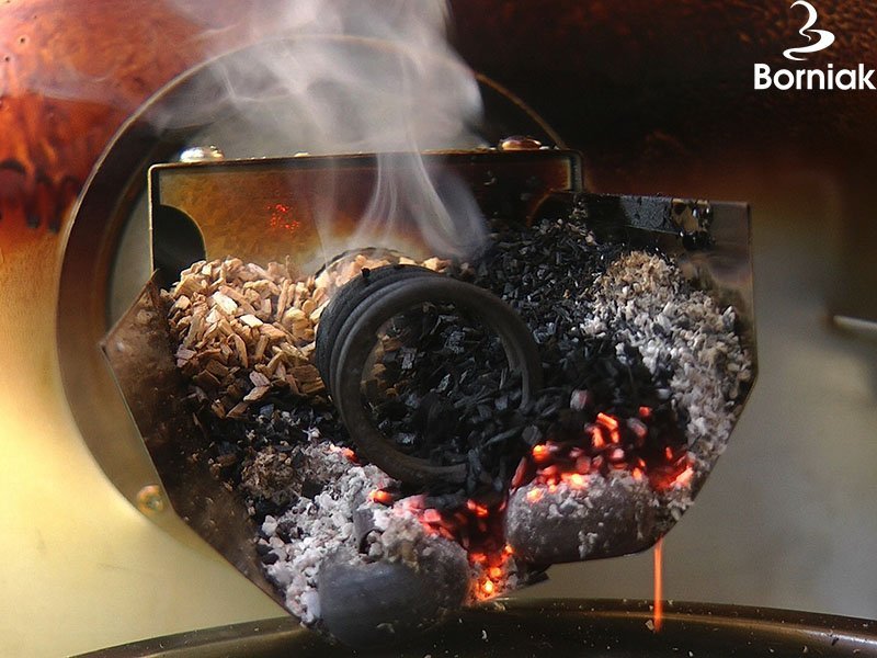 Borniak Borniak rostfri rökgenerator