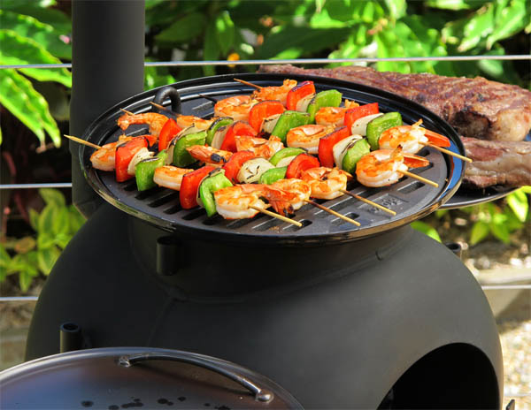 Ozpig Grillgaller av gjutjärn & dropplåt