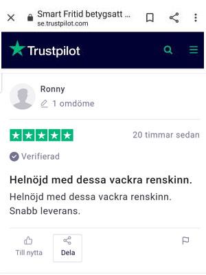 omdöme renskinn