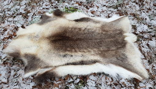 Renskinn inomhus o utomhus