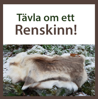 Tävla om renskinn